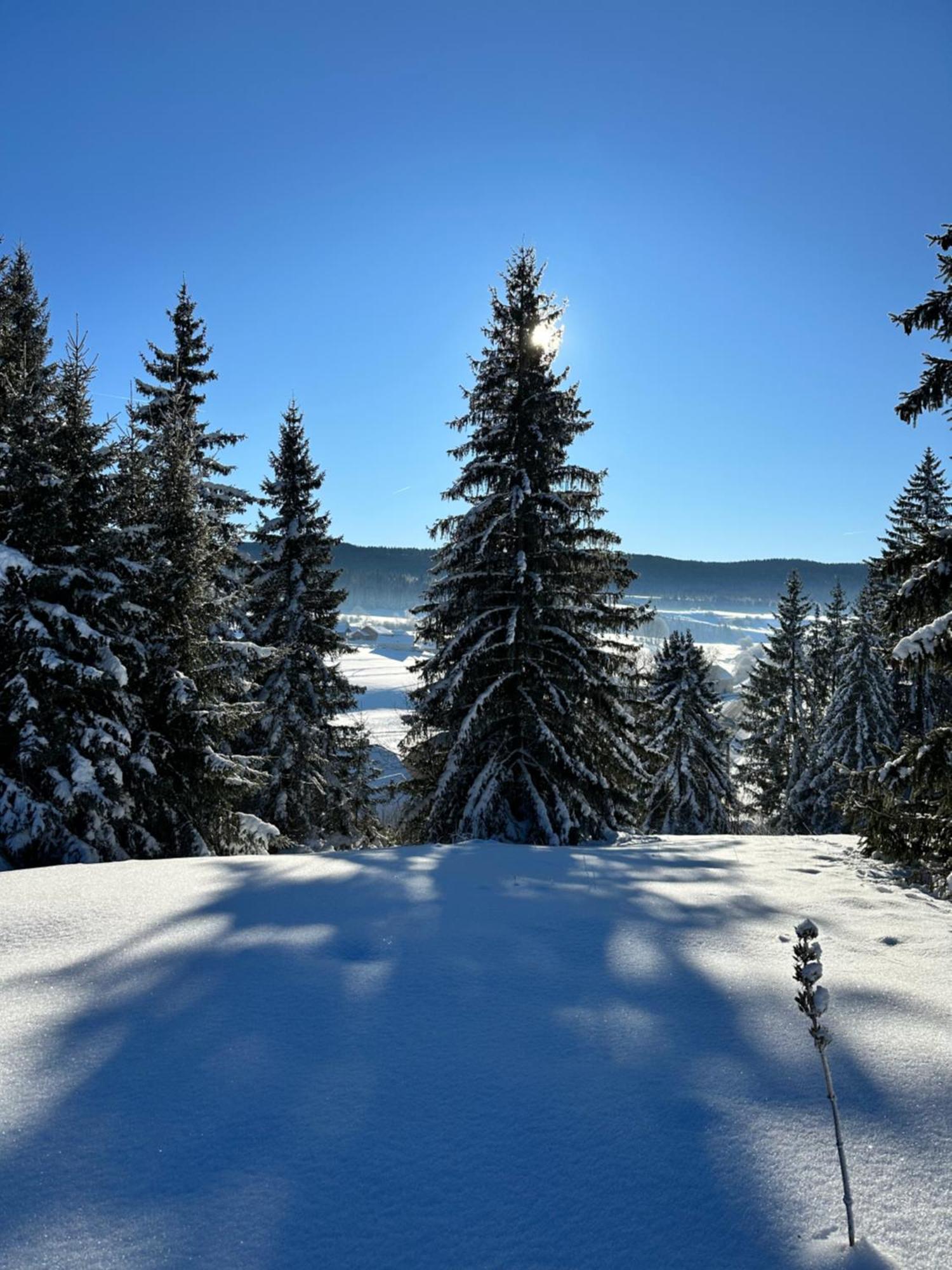 Le Belvedere Des Deux Lacs Brey-et-Maison-du-Bois Exterior photo